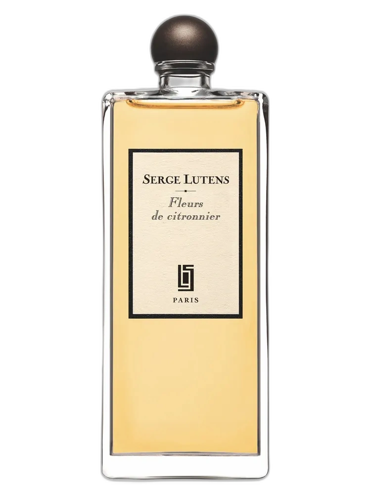 Fleurs de citronnier