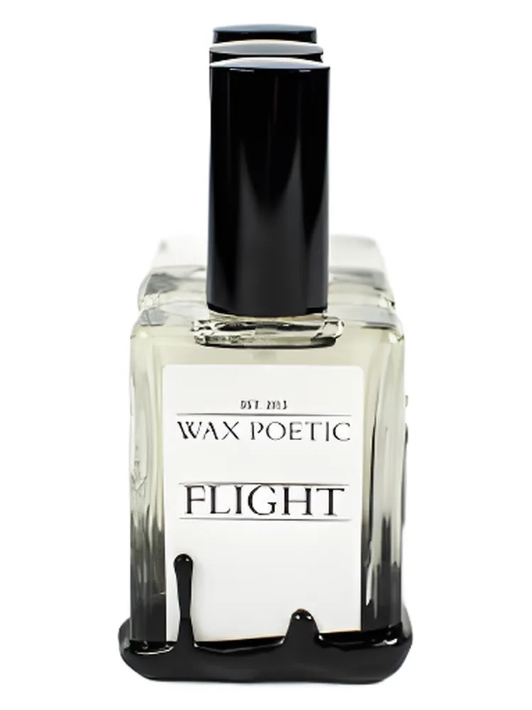 Miniatura 2 de Flight