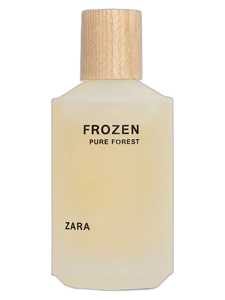 Frozen Pure Forest