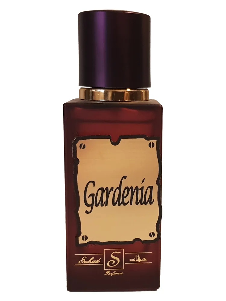 Gardenia thumbnail 2