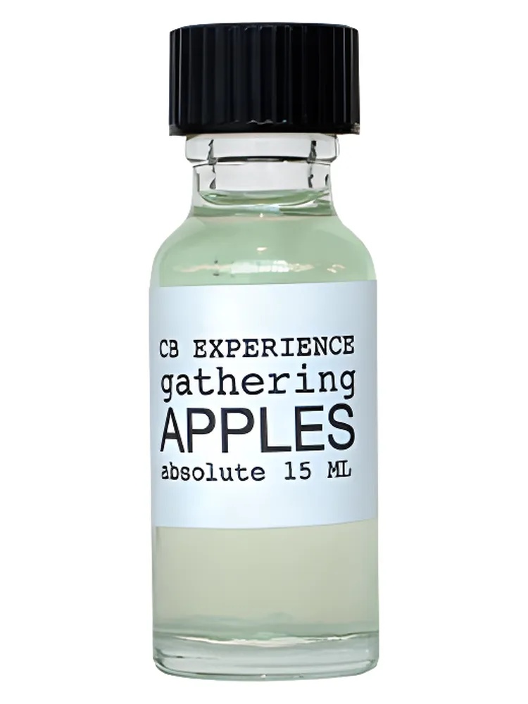 Miniatura 2 de Gathering Apples