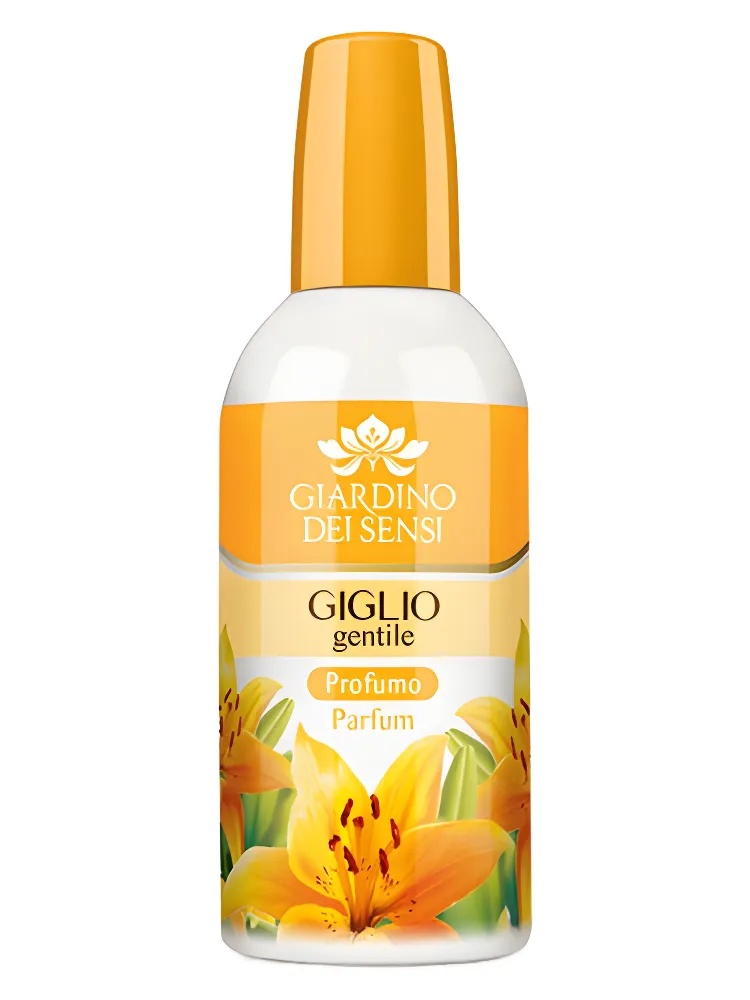 Giglio Gentile thumbnail 2