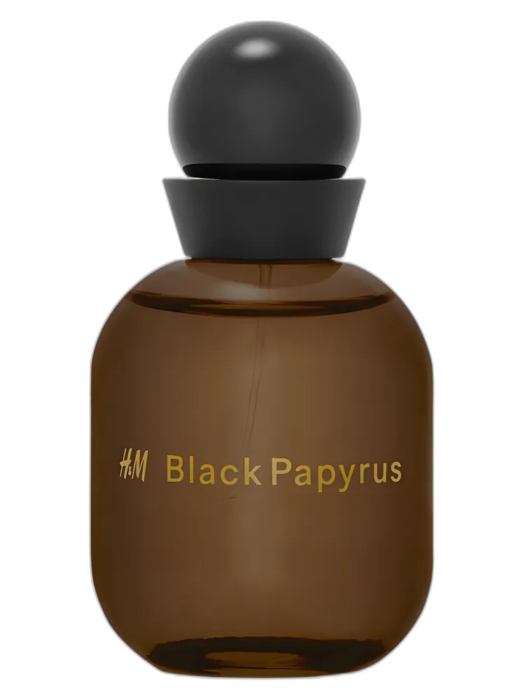 Black Papyrus by H&M