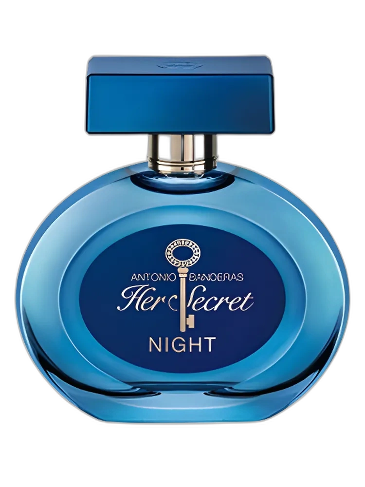 Her Secret Night