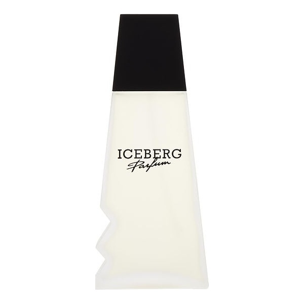 Iceberg