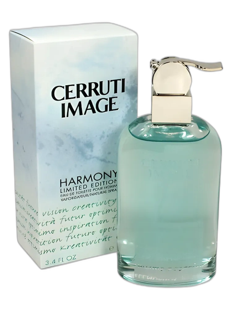 Image Harmony for men