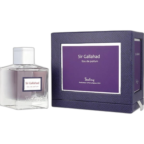 Sir Gallahad by Isabey