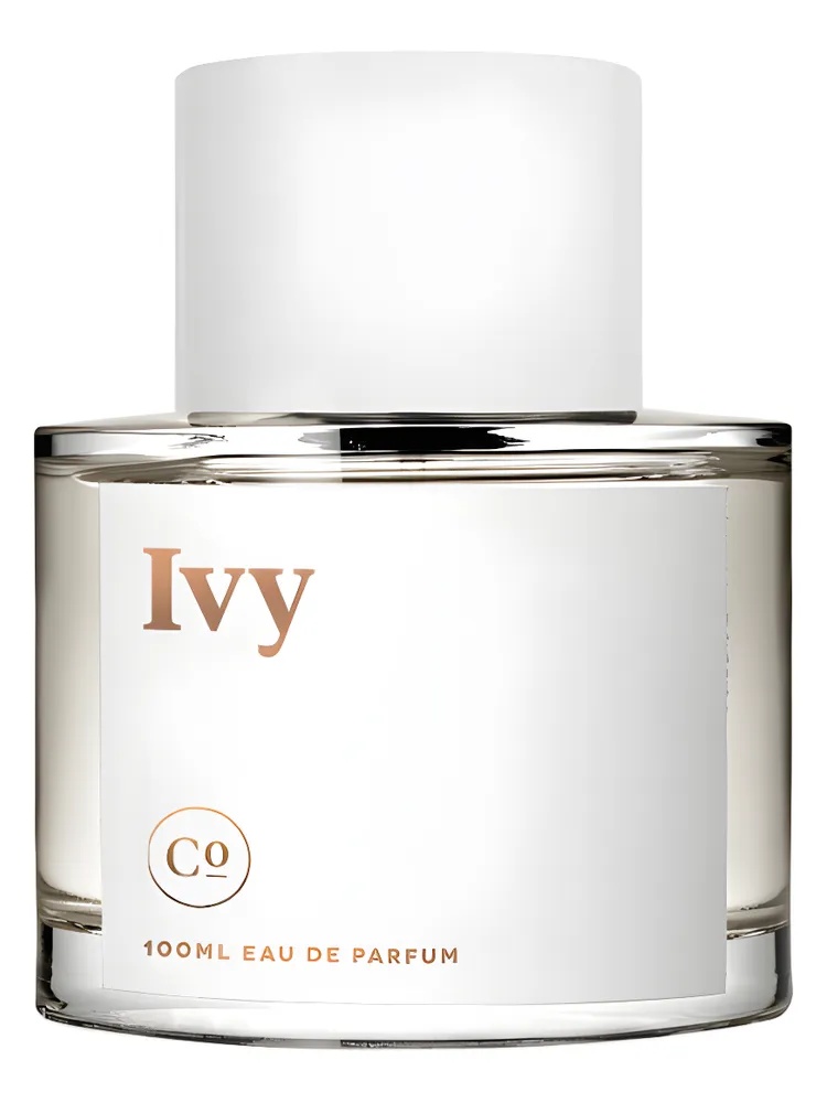 Ivy thumbnail 2