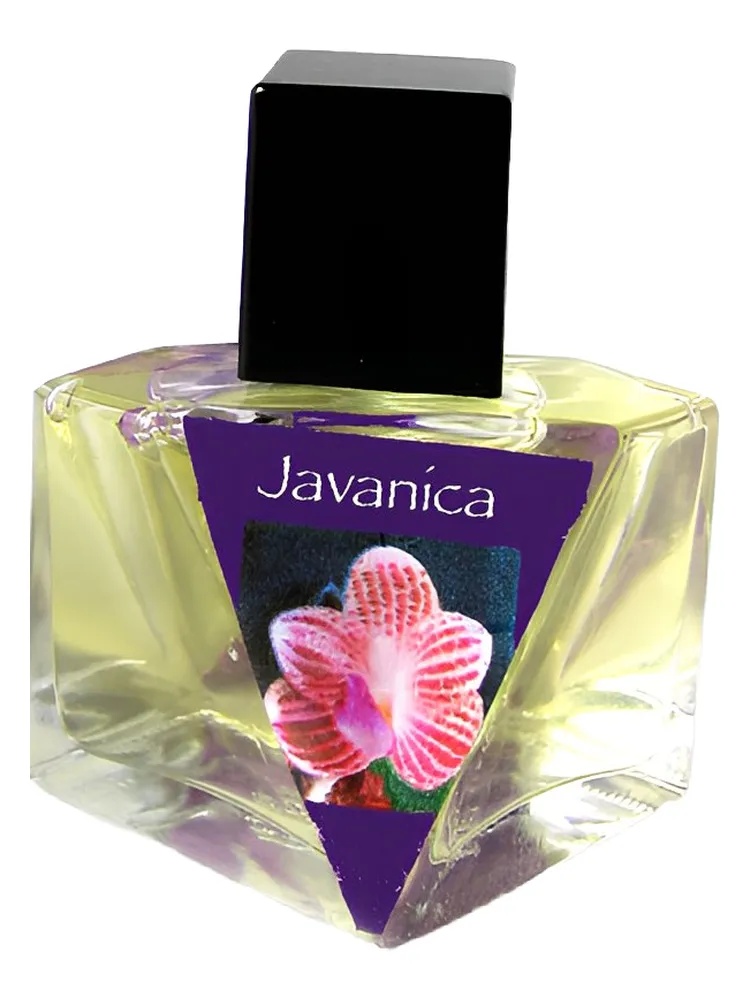 Miniatura 2 de Javanica