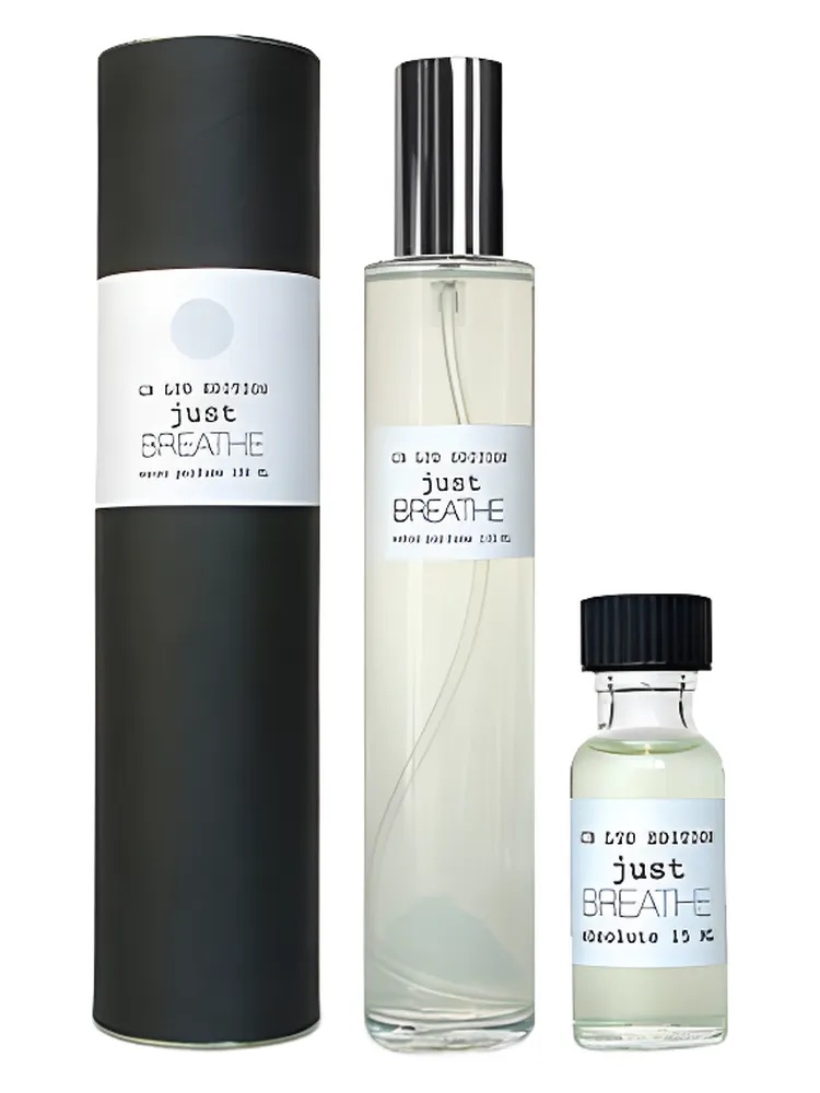 Miniatura 2 de Just Breathe