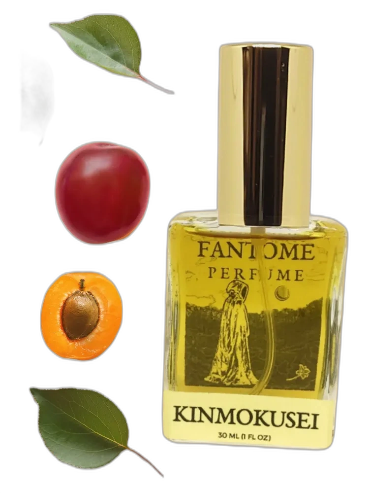 Kinmokusei Fantome unisex