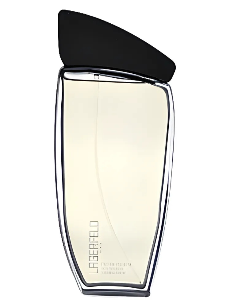 Lagerfeld Men for men