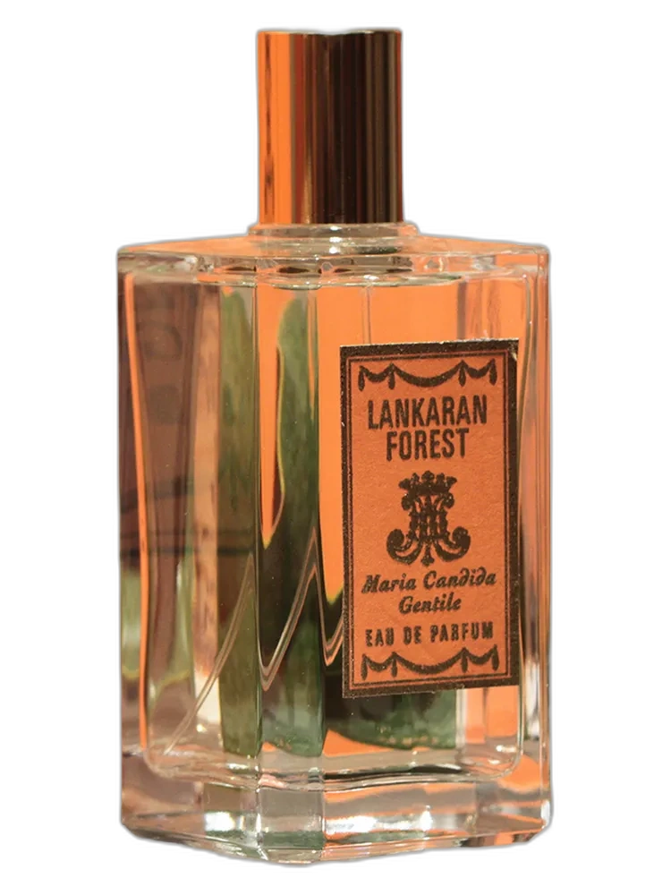 Lankaran Forest unisex