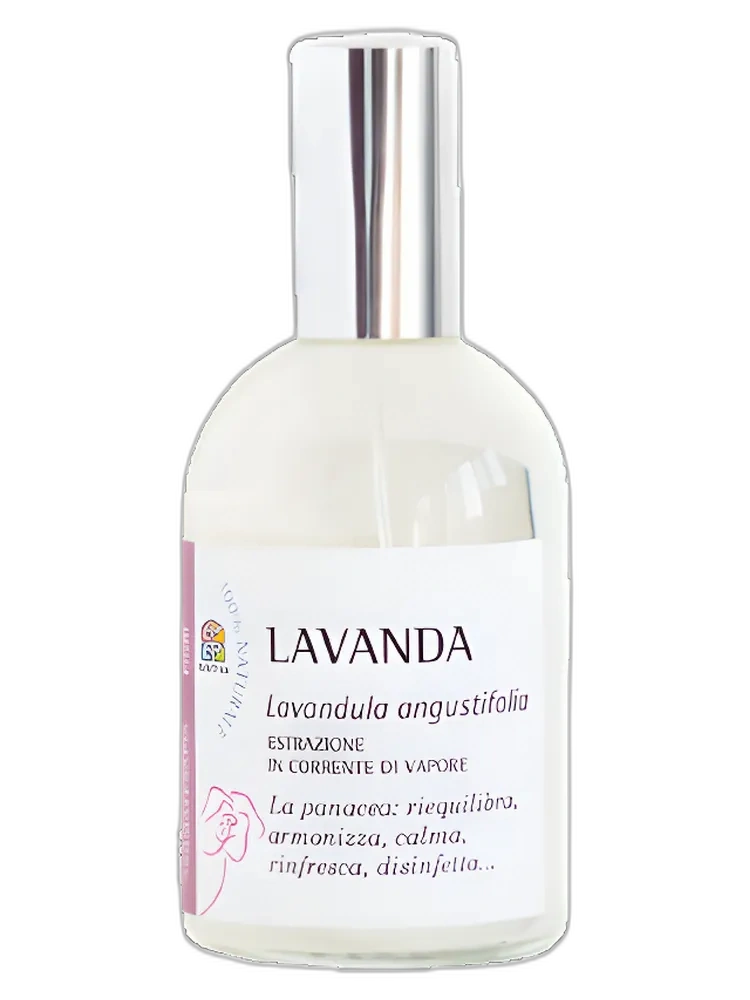 Lavanda unisex