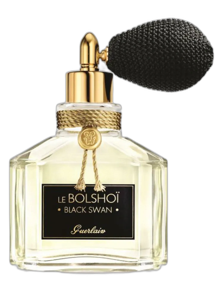 Le Bolshoï Black Swan