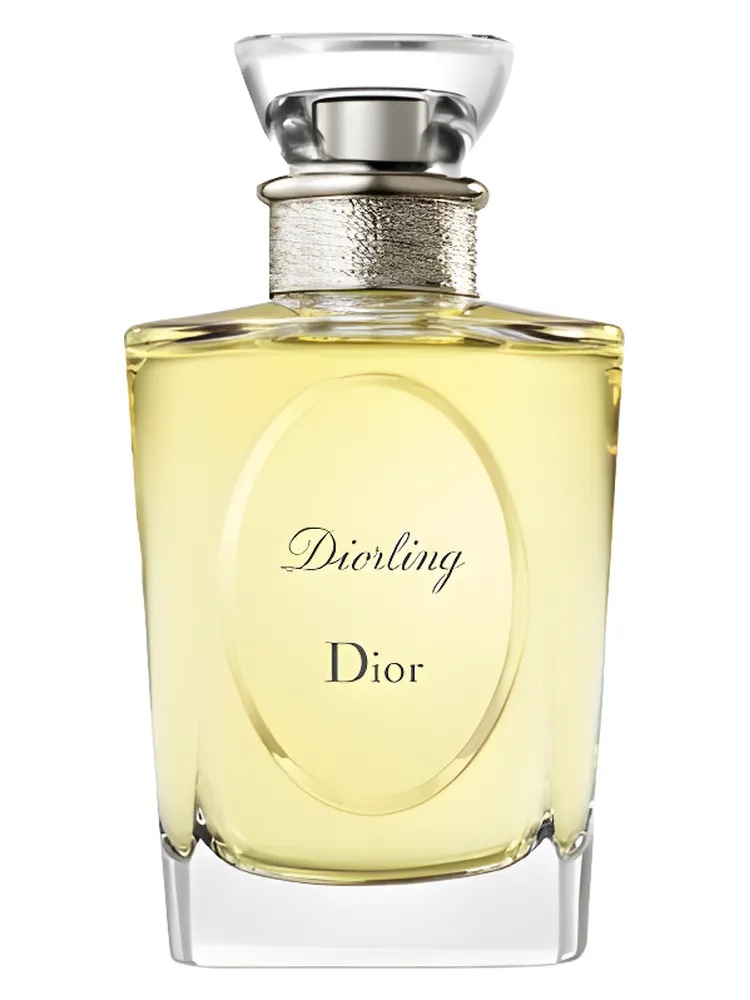 Les Creations de Monsieur Dior Diorling de Dior