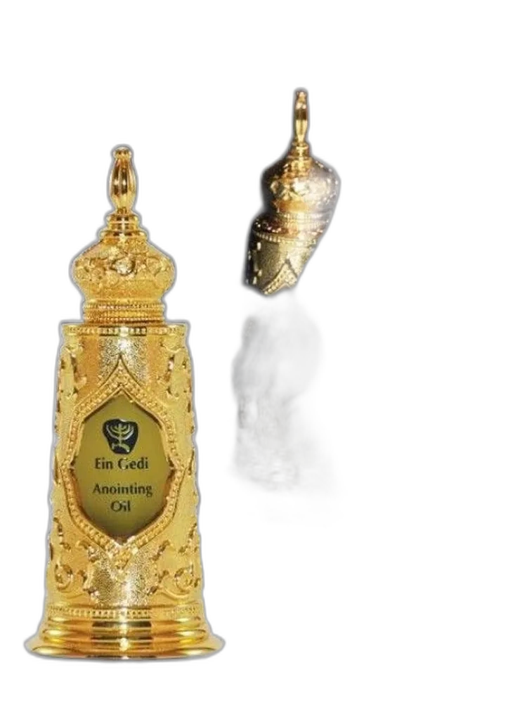 Light of Jerusalem Gold Torah unisex