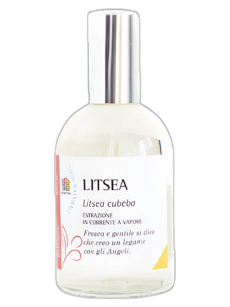 Litsea unisex