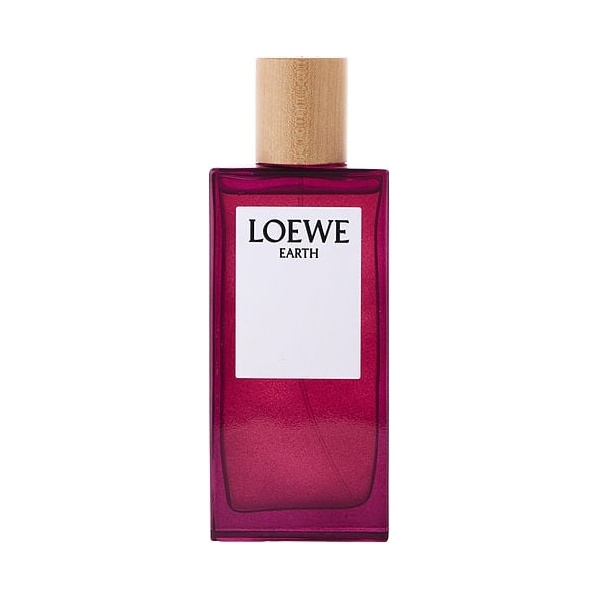 Loewe Earth