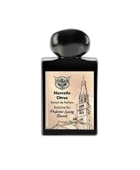 Lorenzo Pazzaglia Narcotix Citrus