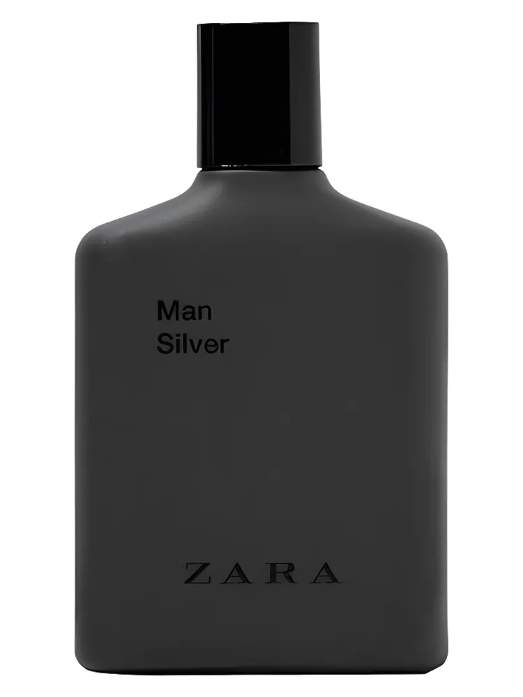 Man Silver by Zara