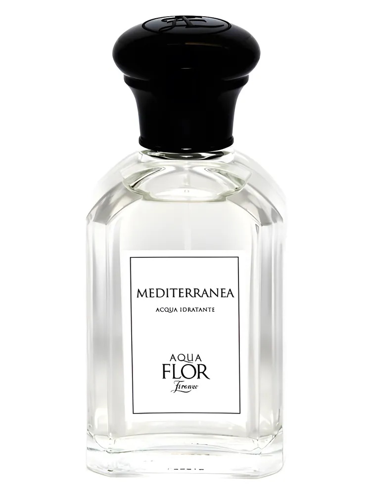 Mediterranea thumbnail 2