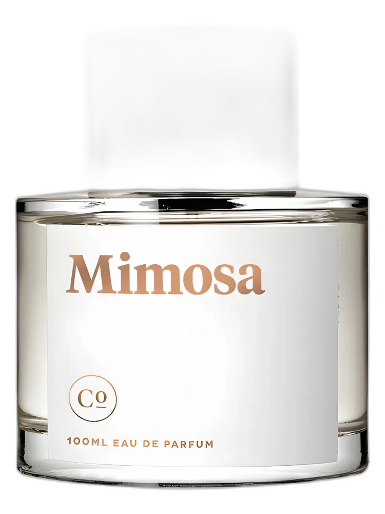 Mimosa for women