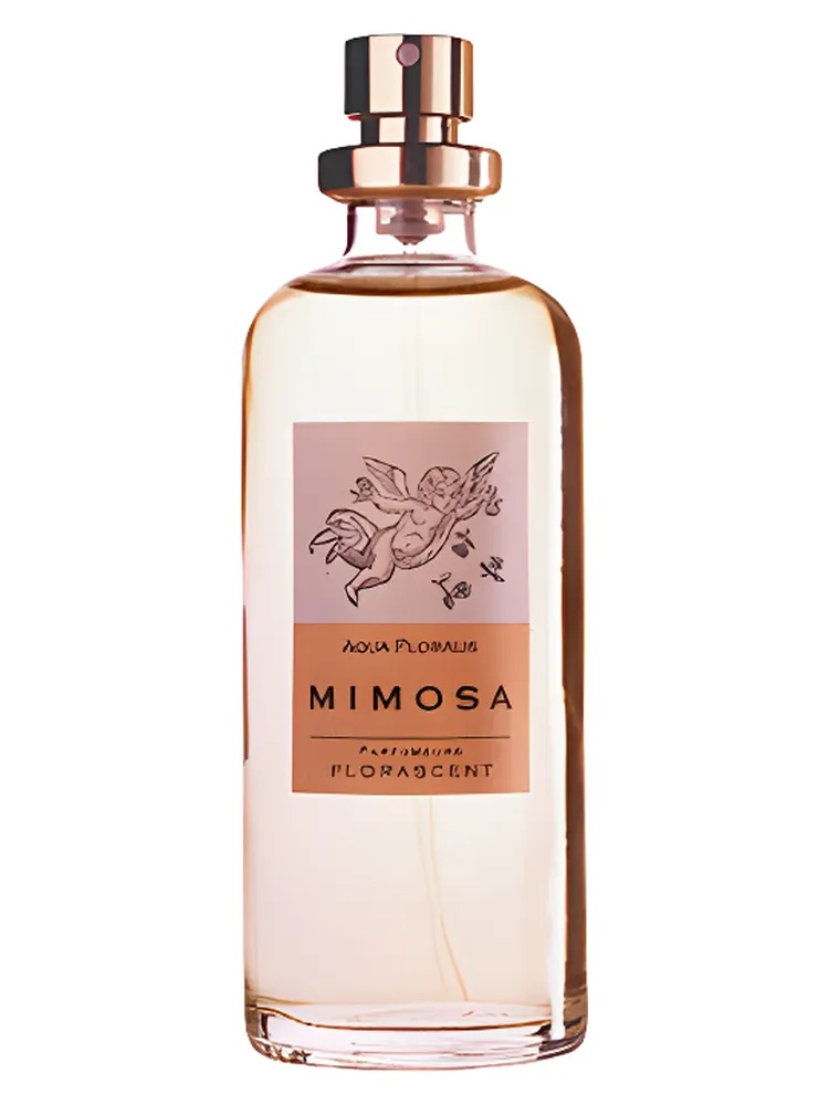 Miniatura 2 de Mimosa