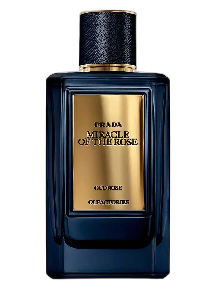 Miracle of the Rose by Prada