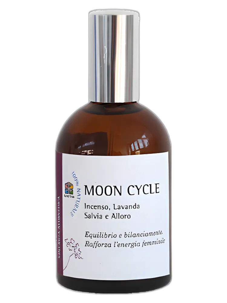 Moon Cycle unisex