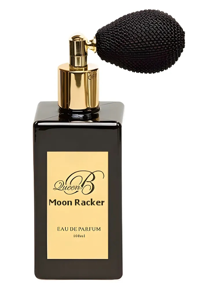 Moon Raker thumbnail 2