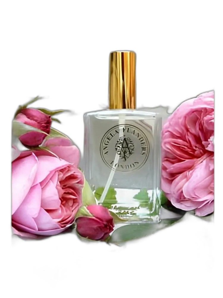 Moroccan Rose
