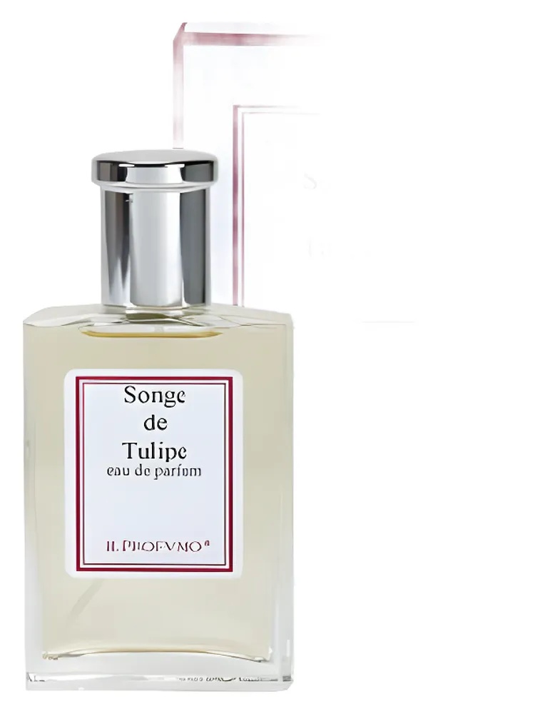 Multiflor Line Songe de Tulipe thumbnail 2