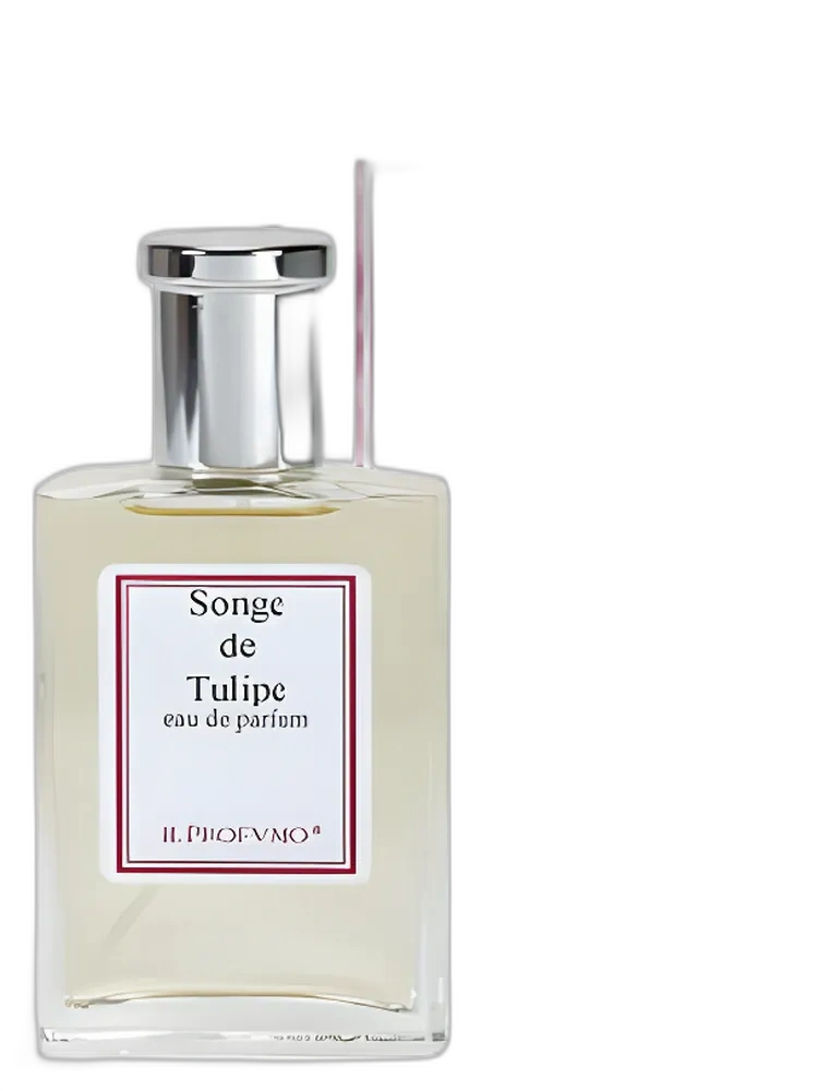 Songe de Tulipe by Il Profvmo
