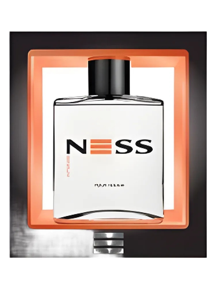 Ness INTENSE thumbnail 2