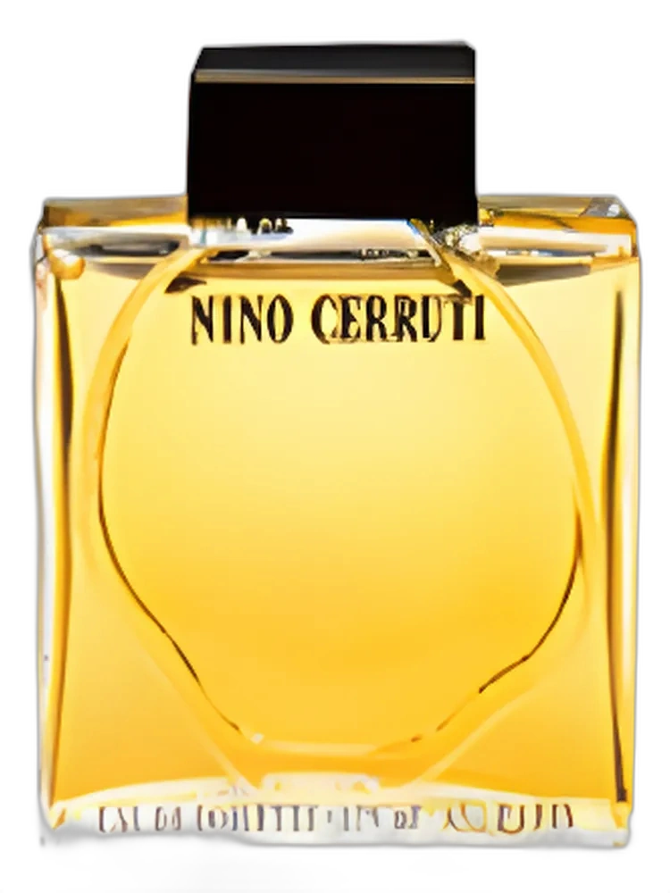 Nino Cerruti Pour Homme for men
