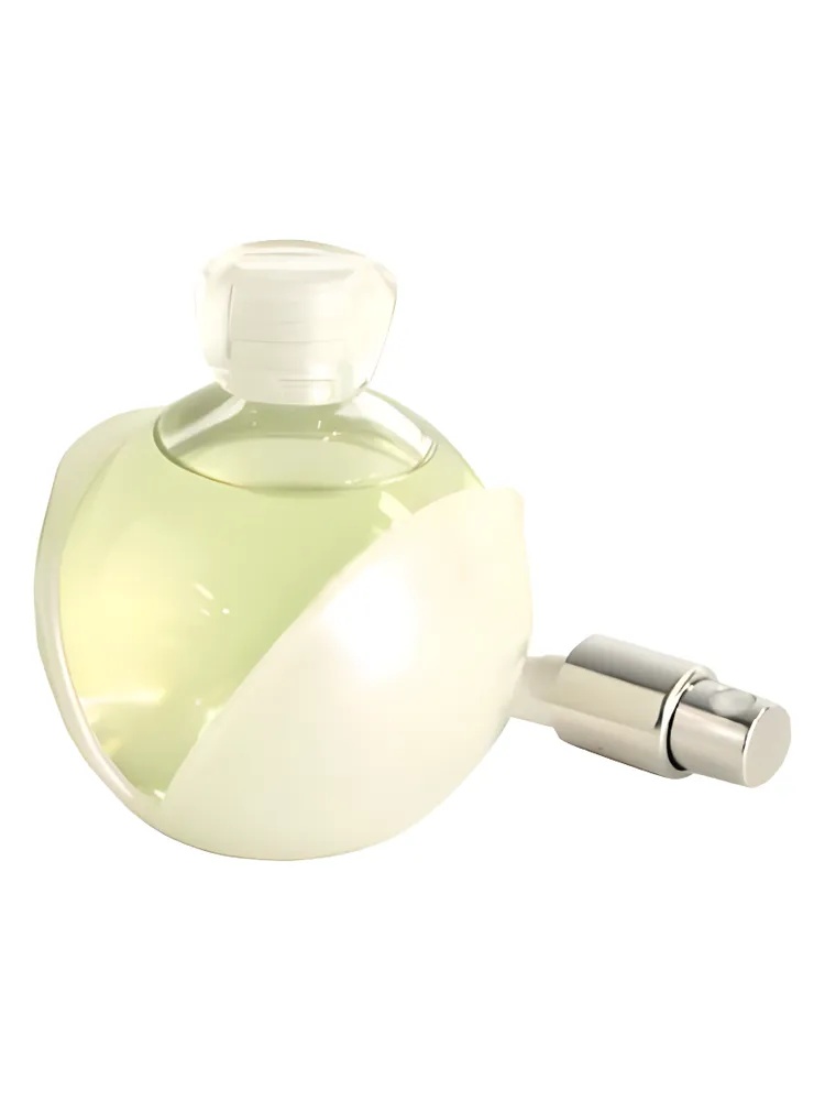 Noa L'Eau de Parfum for women