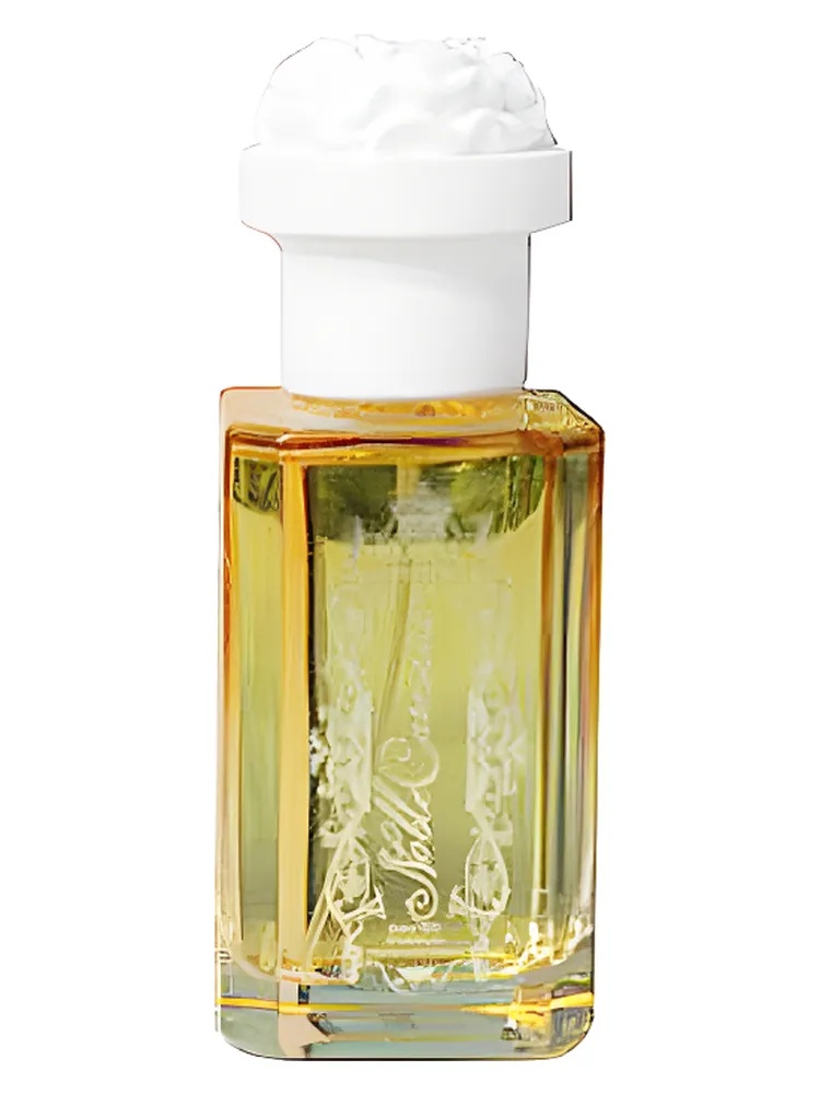 Noble Carnation for women