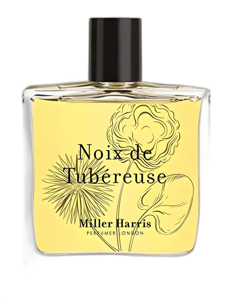 Noix de Tubéreuse