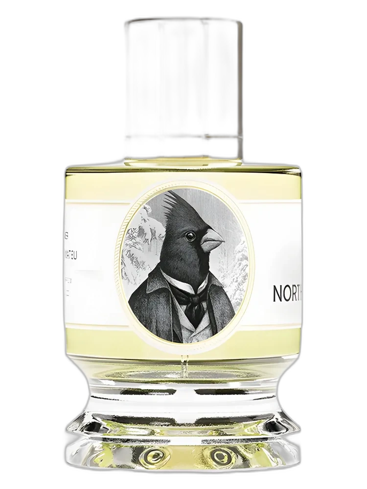 Northern Cardinal unisex