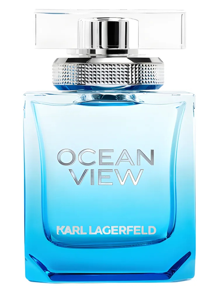 Ocean View For Men thumbnail 2