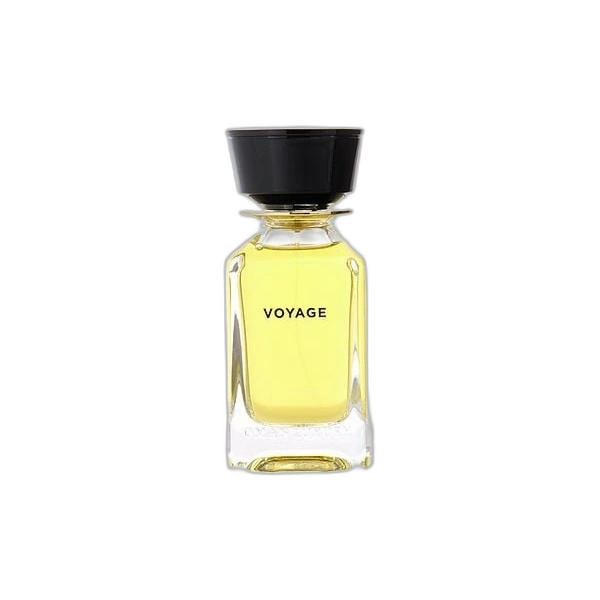Voyage