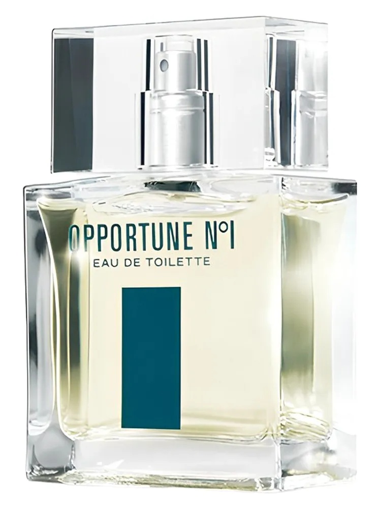 Opportune No1 thumbnail 2