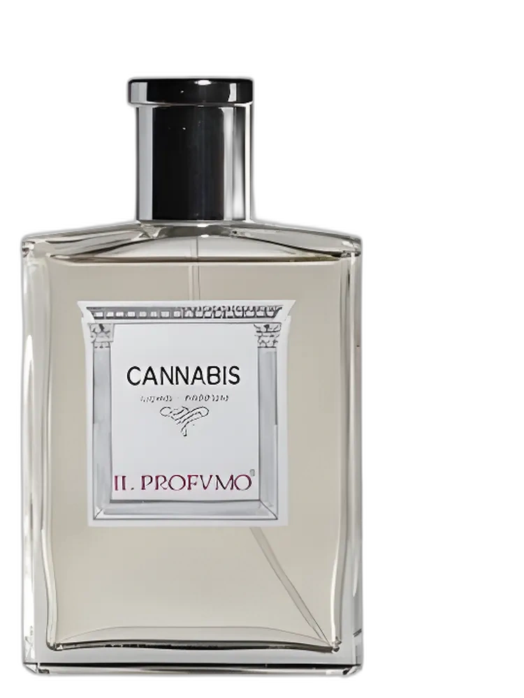 Cannabis by Il Profvmo