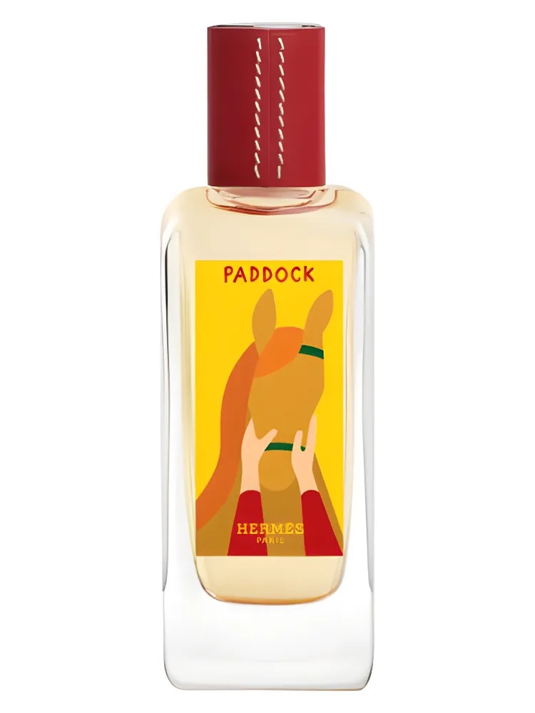 Paddock Hermes unisex