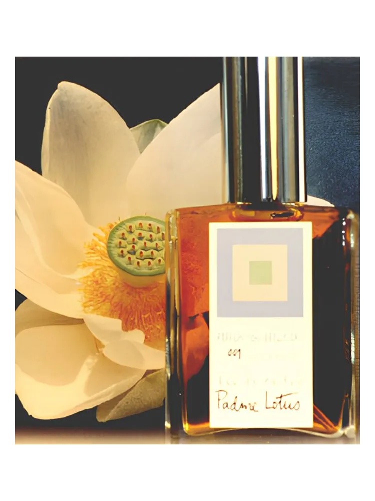 Padme Lotus thumbnail 2