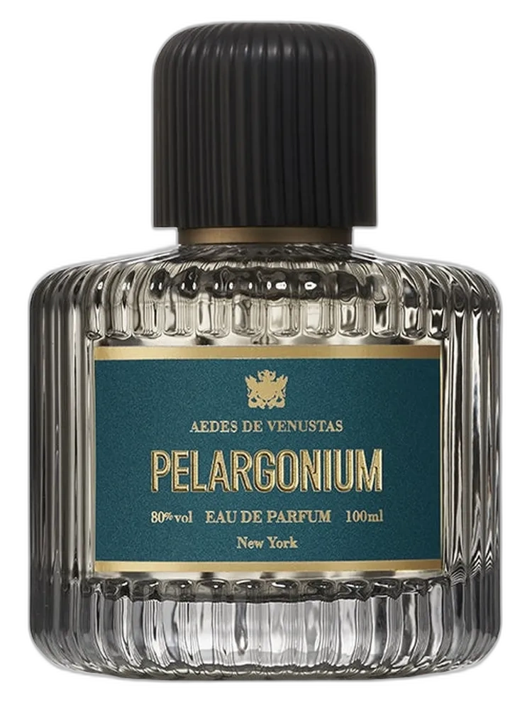 Pelargonium unisex