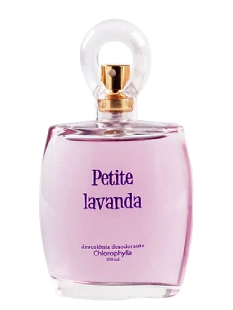 Petite Lavanda thumbnail 2