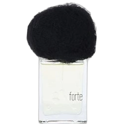 Pioggia Forte