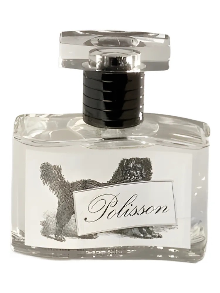 Polisson thumbnail 2